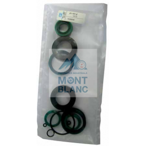 KIT GARNITURI REPARATIE CILINDRU